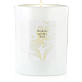 White Tea Bougie Parfumée  226,8 g